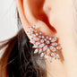 Sparkling stone studded earrings for women for parties